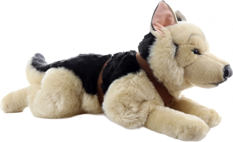 Poziție practică culcată cu ham