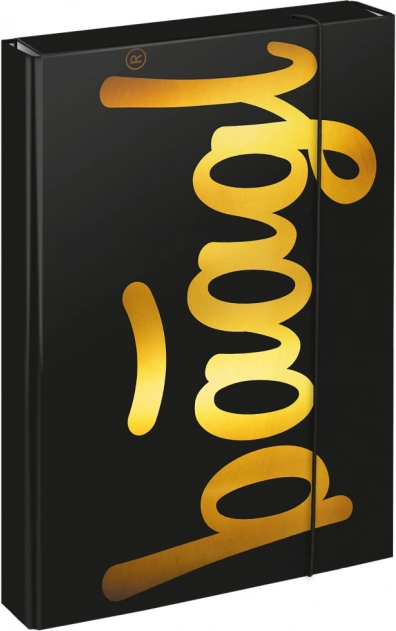 Mape pentru caiete școlare A4 Jumbo Gold