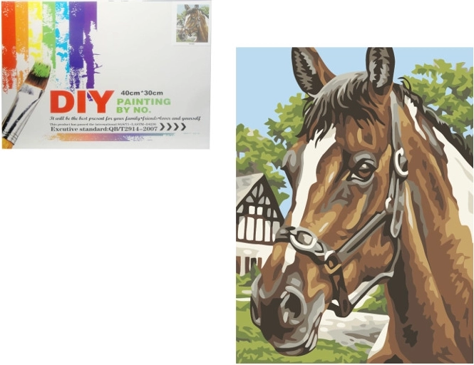 Pictură după numere – cal
