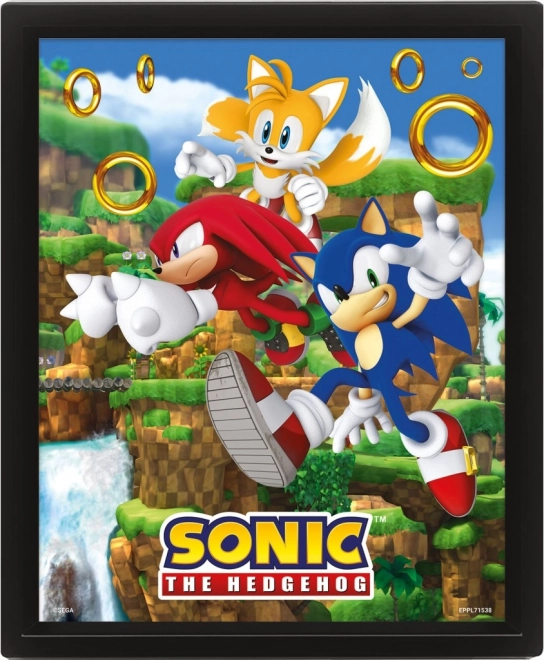 Tablou 3D SONIC – Catching Rings