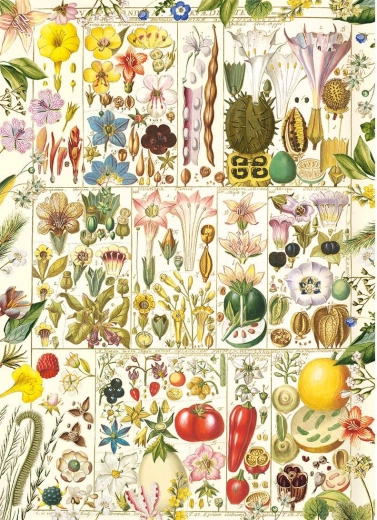 Puzzle Beatitudine botanică 1000 piese