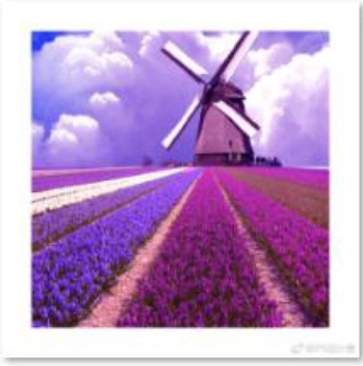 Pictură cu diamante – moară de vânt pe câmp de lavandă 30 × 30 cm