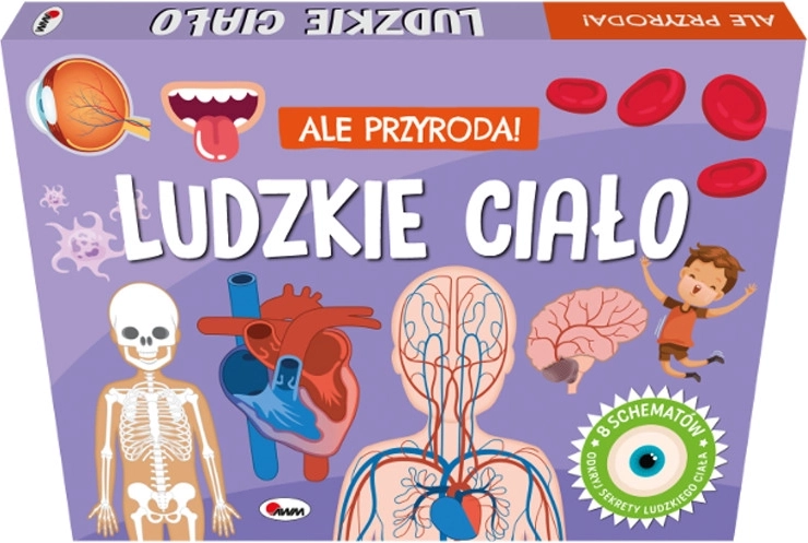 Ale natura! Corpul uman – carte pop-up cu ferestruici