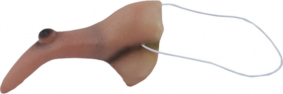 Nas de vrăjitoare cu neg pentru Halloween