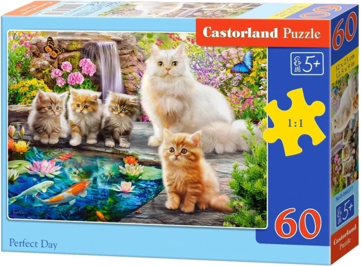 Puzzle Castorland „Ziua perfectă” 60 de piese