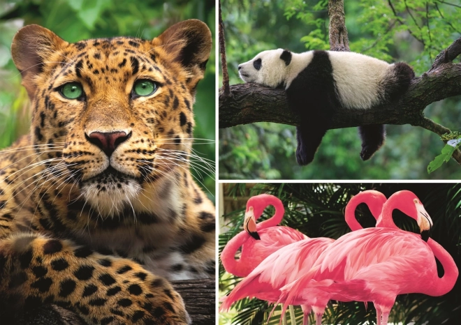 Puzzle animale – colaj 1000 piese EKO