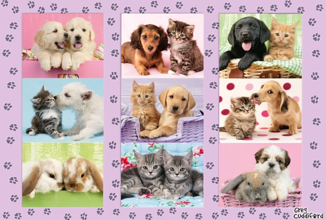 Puzzle Schmidt Prietenii mei animăluțe 100 piese