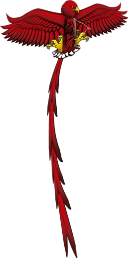 Zmeu zburător Pop Up 3D