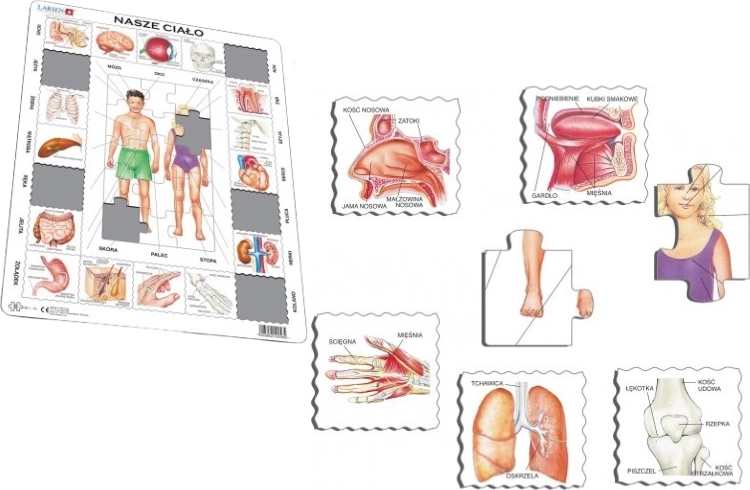 Larsen Corpul nostru maxi – puzzle educativ