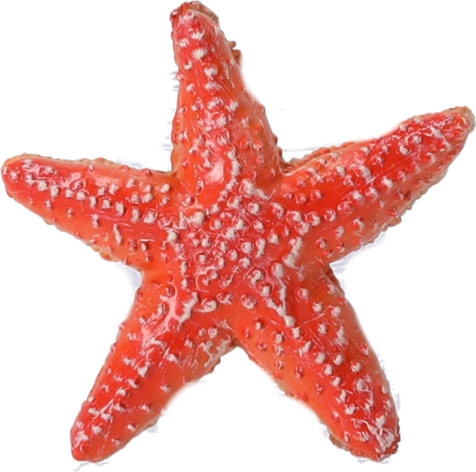 Figurină de colecție Stea de mare, Papo