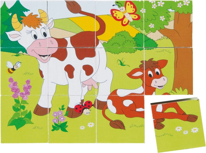 Cuburi ilustrate Animăluțe în anotimpuri