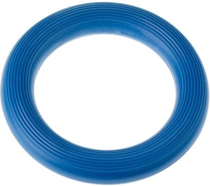 Ringo Tullo Albastru