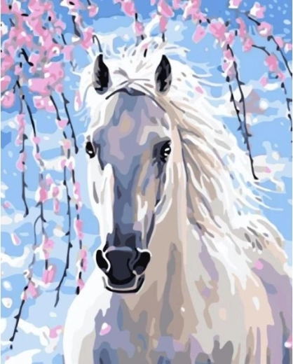 Pictură pe numere pe pânză înrămată 40 × 50 cm – armăsar alb