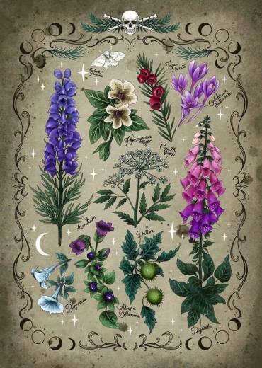 Puzzle Plante Otrăvitoare 1000 Bucăți