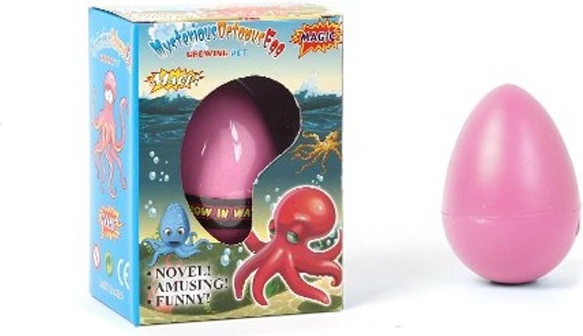 Caracatiță care crește din ou 6,5 cm