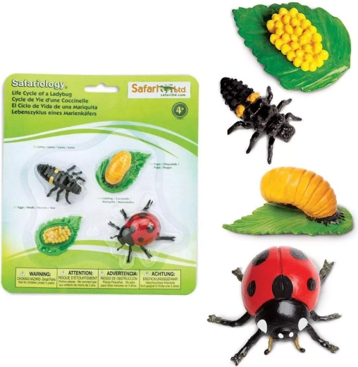 Safari Ltd. ciclul de viață al buburuzei – set de 4 figurine