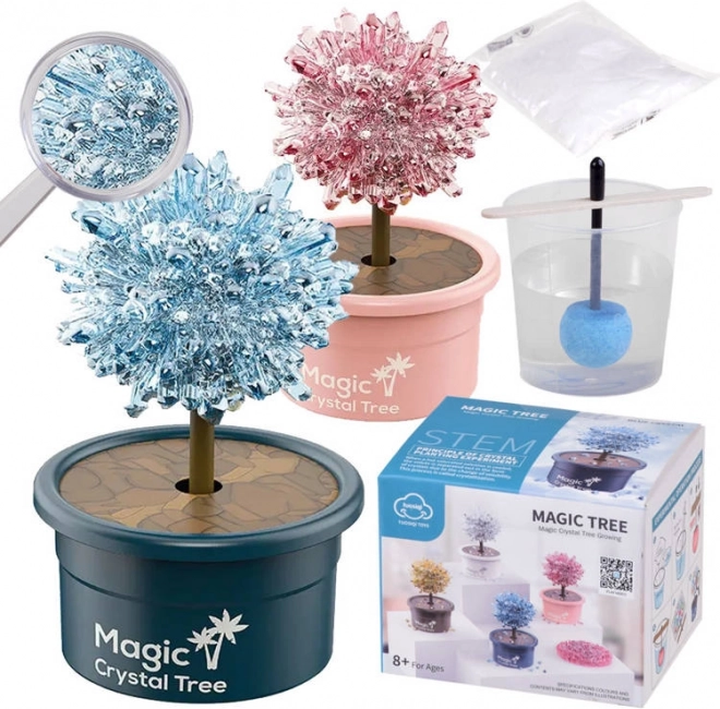 Set științific pentru cultivarea cristalelor – copăcelul magic al norocului