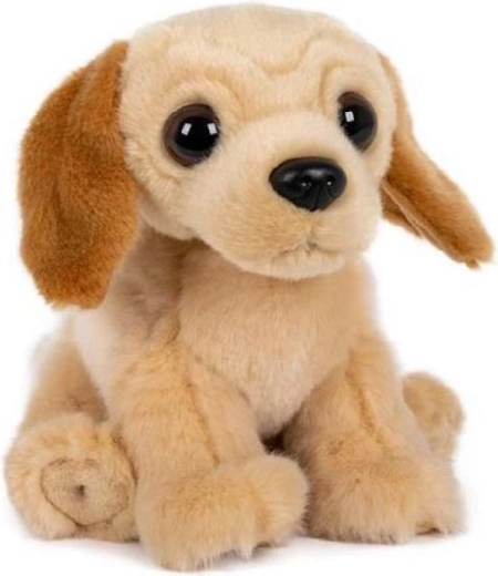 Labrador plușat așezat 15 × 17 cm