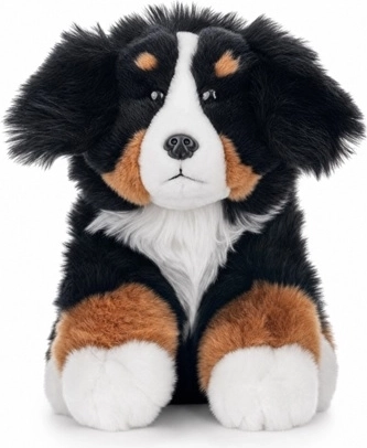 Câine de munte bernez 23 cm