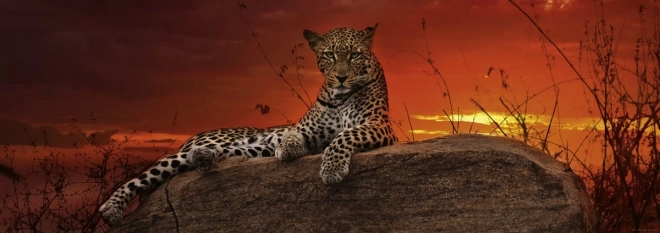 Puzzle panoramic Răsărit în Kenya 2000 piese