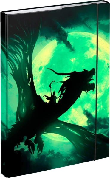 Mapă pentru caiete A4 cu motiv dragon BAAGL