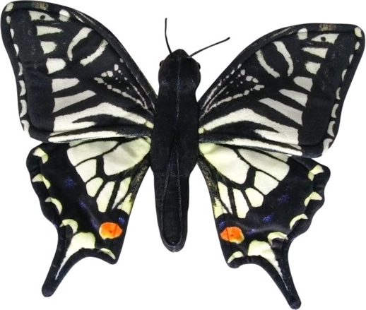 Fluture coadă-de-rândunică (fenicul) 30 cm