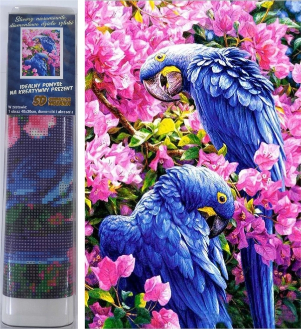 Norimpex pictură cu diamante papagali albaștri 30 × 40 cm