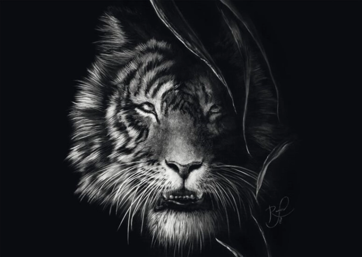 Puzzle Schmidt Sălbăticia tigrului – întruchiparea libertății 1000 piese