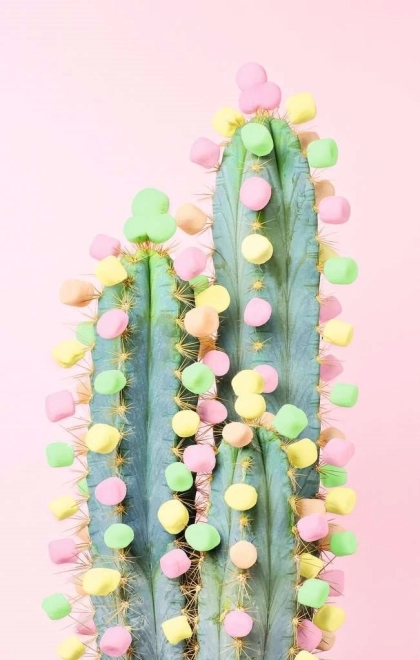 Puzzle RAVENSBURGER Puzzle Moment: Cactus 200 piese