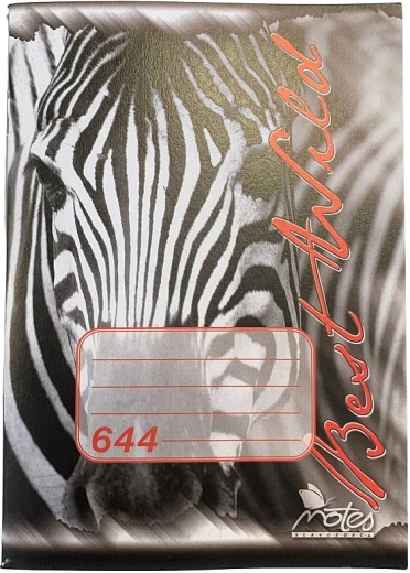 Caiet școlar A6, 40 de file, dictando, hârtie fără lemn