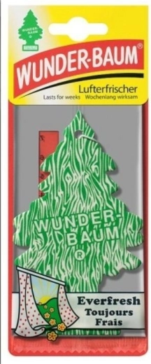 Brăduț parfumat WUNDER-BAUM Everfresh