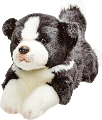 Câine din pluș Border Collie 30 cm