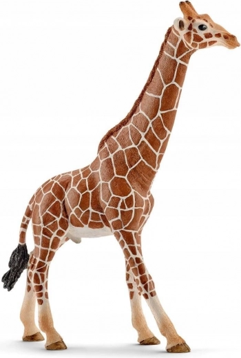 Figurină mascul girafă Schleich Wild Life
