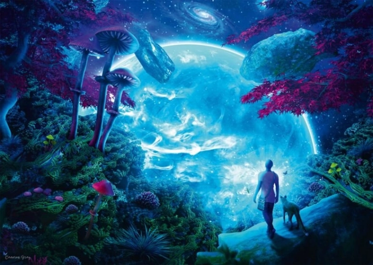 Puzzle Schmidt Cerul înstelat 1000 piese