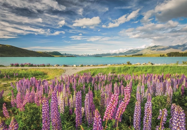 Puzzle Clementoni Lupini la lacul Tekapo 1500 piese
