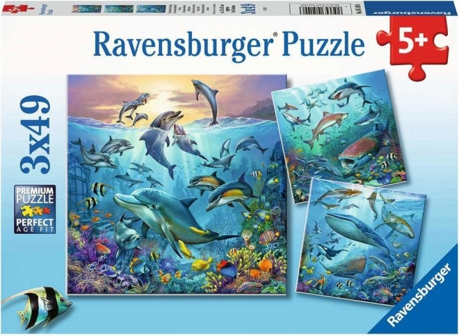 RAVENSBURGER Puzzle Animale din ocean 3x49 piese