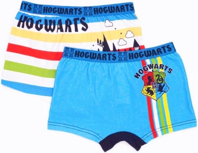 Set duo de boxeri Harry Potter