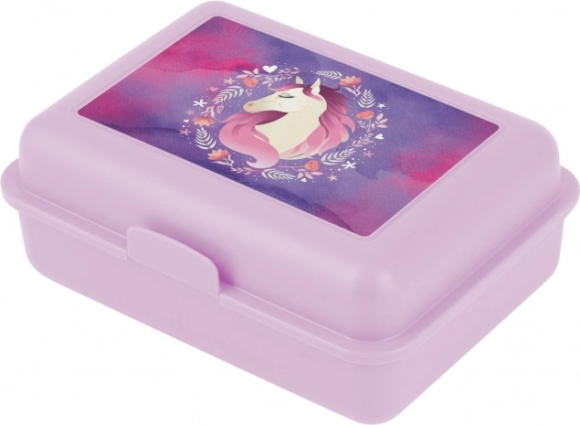 Cutie de prânz BAAGL Cal