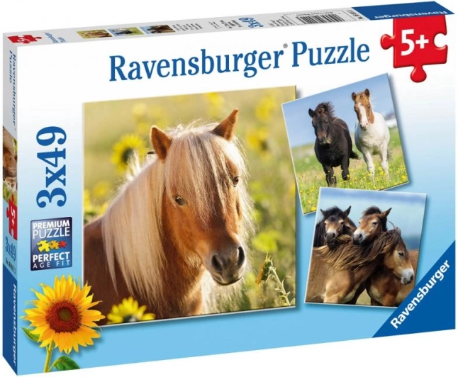 Puzzle ravensburger cai drăgălași 3×49 piese