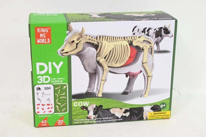 Model anatomic de vacă pentru copii