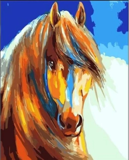 Tablou de pictat după numere pe ramă 40 × 50 cm – cal colorat