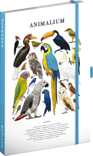 Notique Notes Animalium – caiet cu linii Păsări 13 × 21 cm