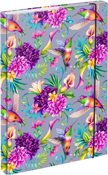 Mape pentru caiete A4 Colibri BAAGL