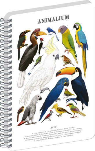 Bloc spiral Notique Animalium – Păsări, alb, A4