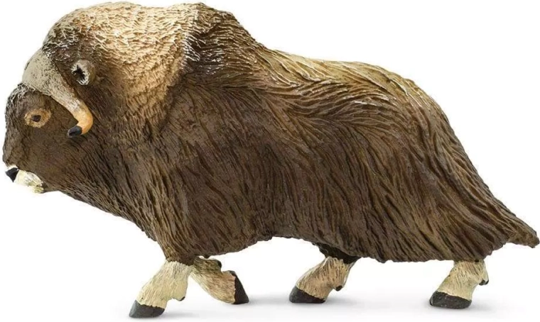 Safari Ltd. figurină bou moscat