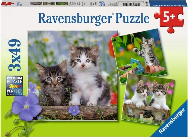 Ravensburger puzzle pisoiași 3×49 piese