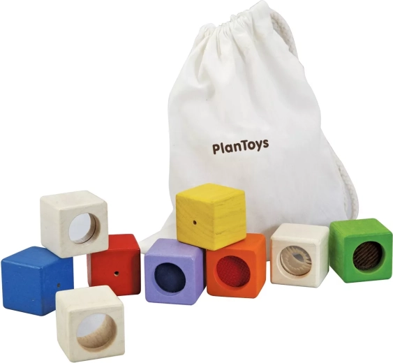 Cuburi senzoriale PlanToys - 9 buc.