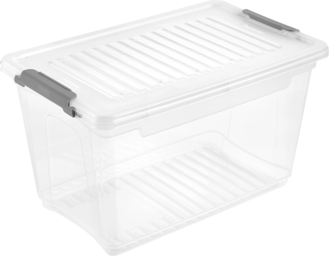 Cutie de depozitare din plastic cu capac Leonie 5,4 l