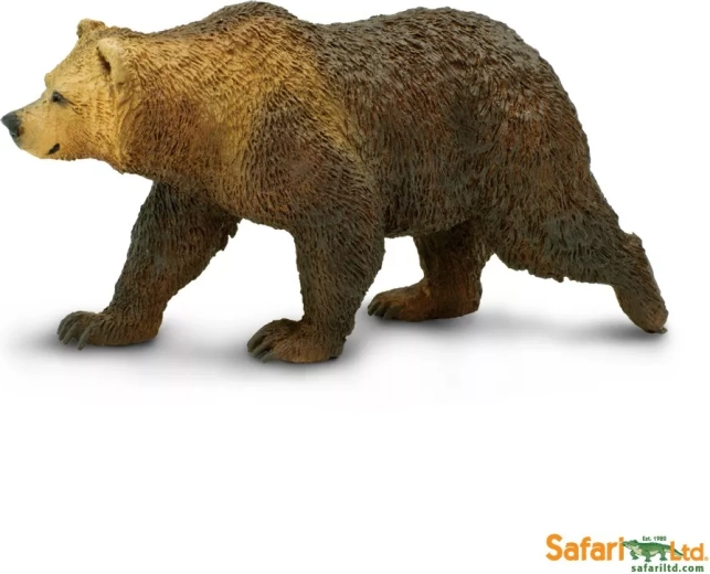 Urs grizzly
