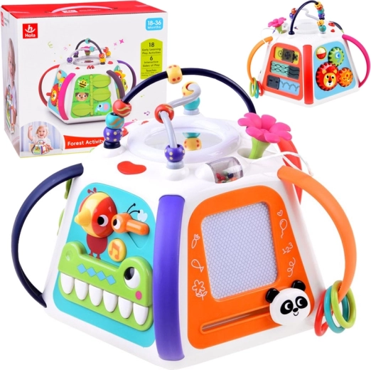 Cub educațional interactiv Hola